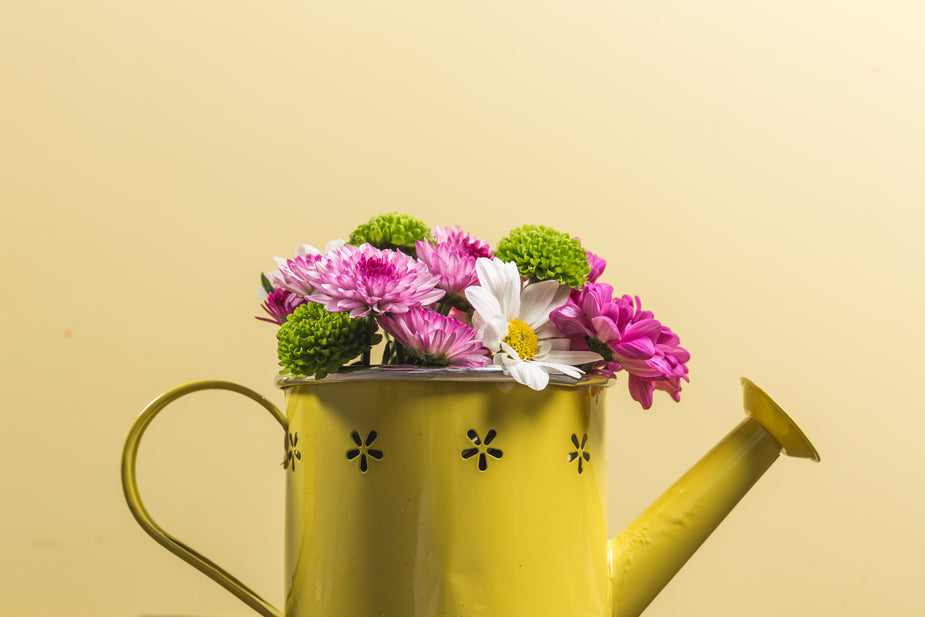 Yellow watering can