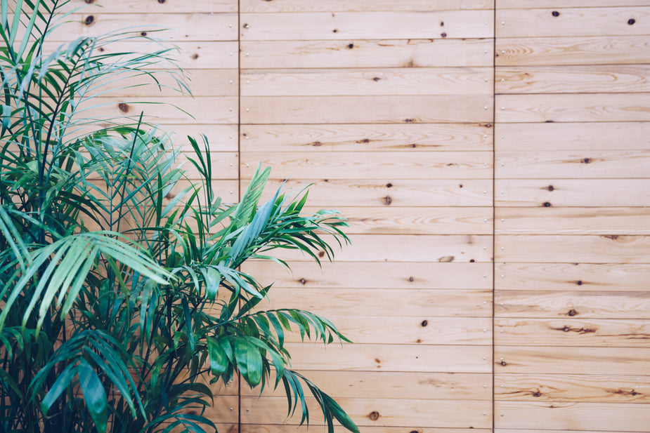 Wooden outdoor slats – straitfaces